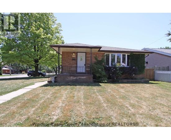 A house with a front yard and a tree in front of it.