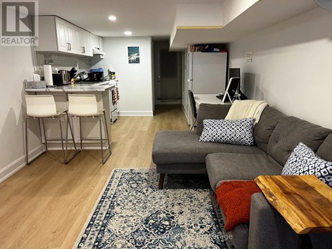 A living room with a grey couch and a rug.
