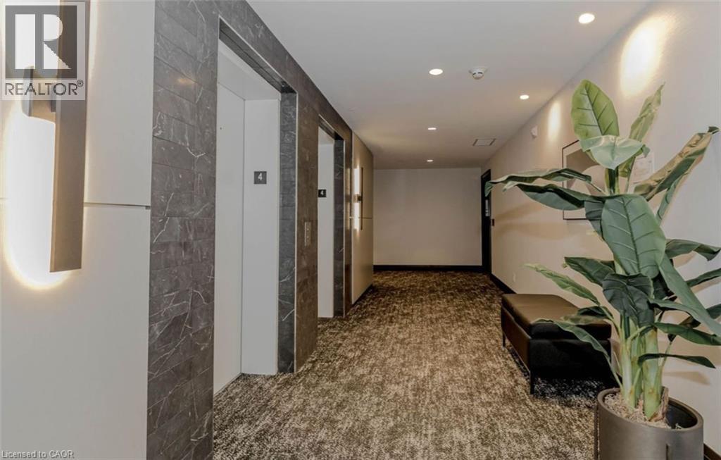 A hallway with a plant on the right side and a bench in the middle.