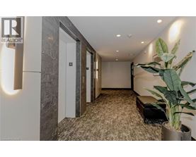 A hallway with a plant on the right side and a bench in the middle.