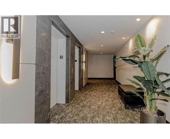 A hallway with a plant on the right side and a bench in the middle.