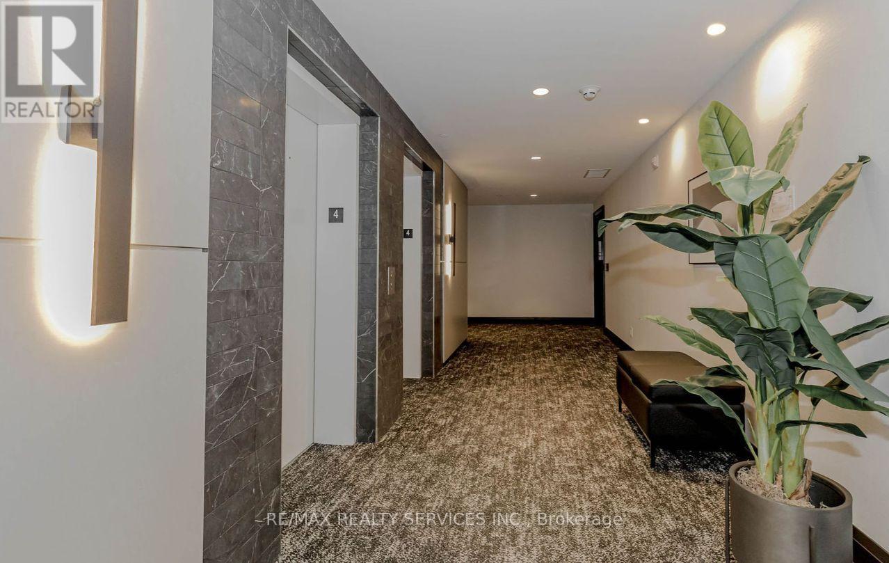 A hallway with a plant on the right side and a door on the left.
