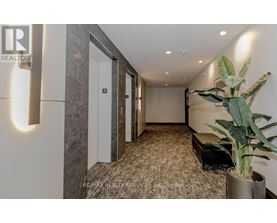 A hallway with a plant on the right side and a door on the left.