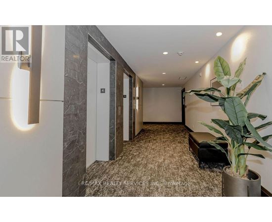 A hallway with a plant on the right side and a door on the left.