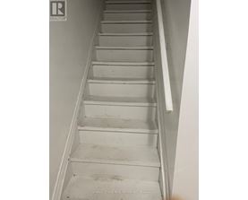 A staircase with a white railing and steps.