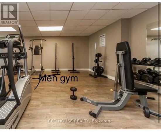 A gym room with a row of treadmills and a row of weights.