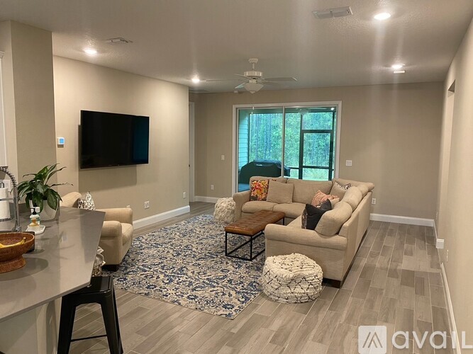 A living room with a television, couches, and a rug.