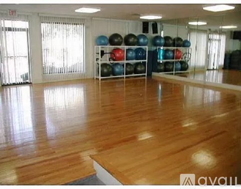 A gym with a wooden floor and a rack of exercise balls.