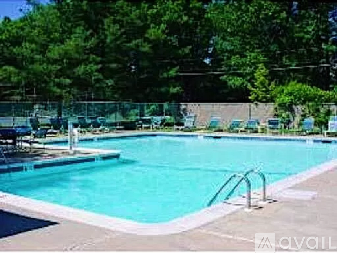 A pool surrounded by trees and chairs.