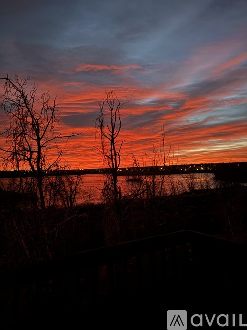 A beautiful sunset with a vibrant orange sky and silhouettes of trees.
