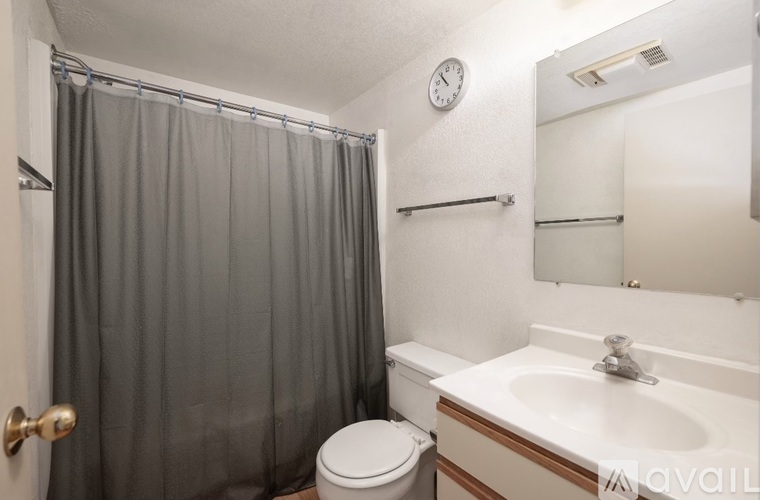 A bathroom with a toilet, sink, and shower curtain.