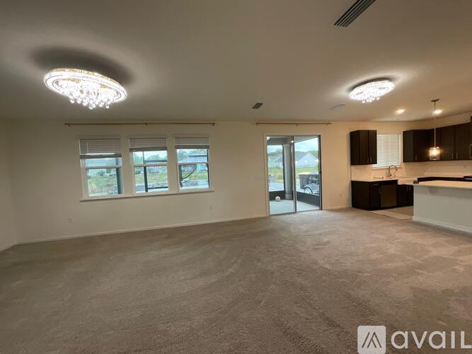 A spacious room with a carpeted floor, ceiling lights, and a kitchen area with cabinets and a countertop.
