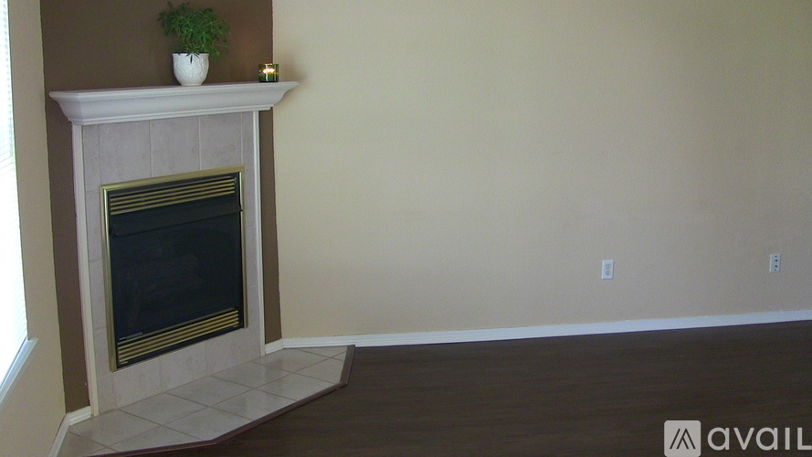 A room with a fireplace and a plant on top of it.