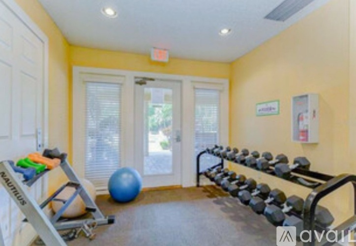 A gym room with a row of dumbbells and a blue exercise ball.