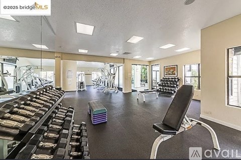 A gym with a variety of equipment including weights and a bench.