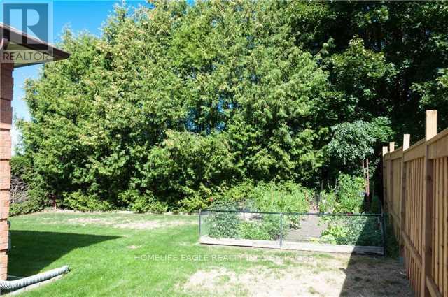 A backyard with a fence and trees.