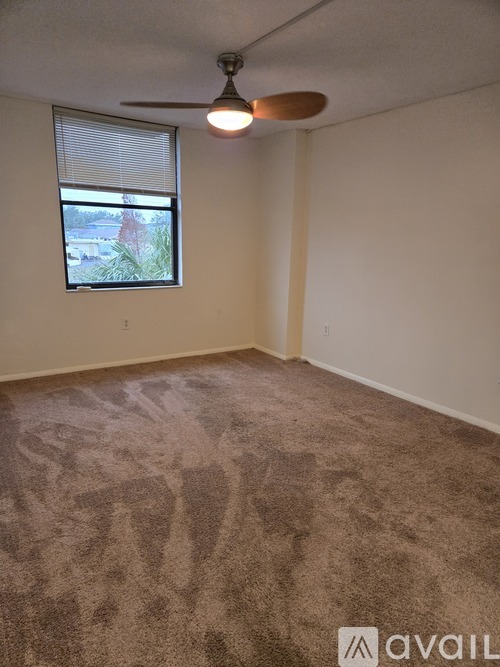 A room with a carpeted floor and a ceiling fan.