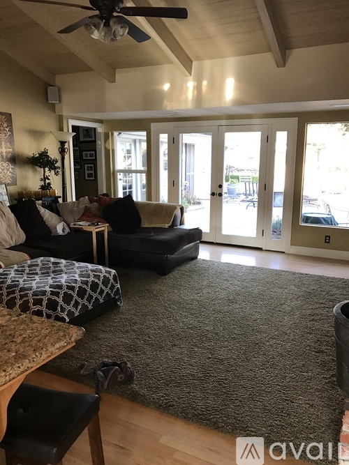 A living room with a couch, chair, and rug.