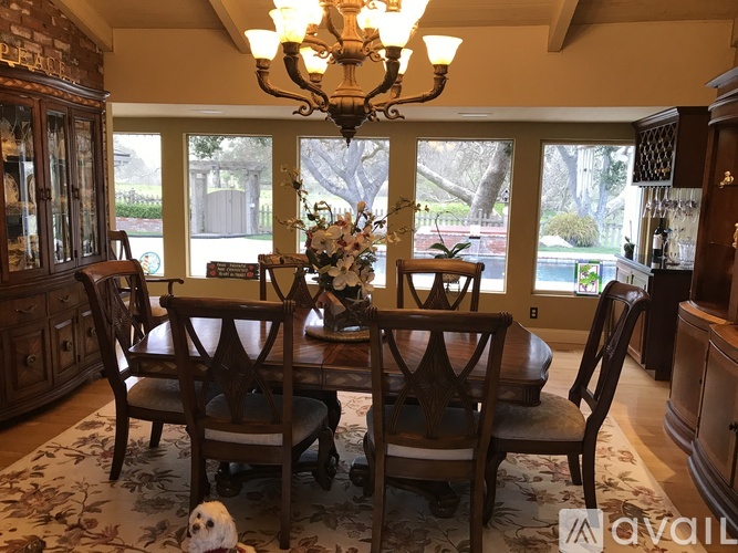 A dining room with a chandelier, a table with chairs and a dog.
