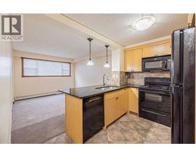 A kitchen with black appliances and wooden cabinets.