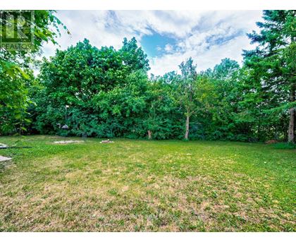A lush green field with trees in the background.