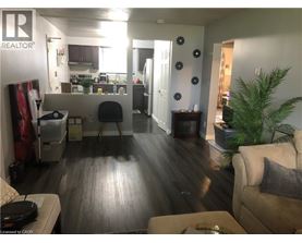 A living room with a couch, a coffee table, and a plant.