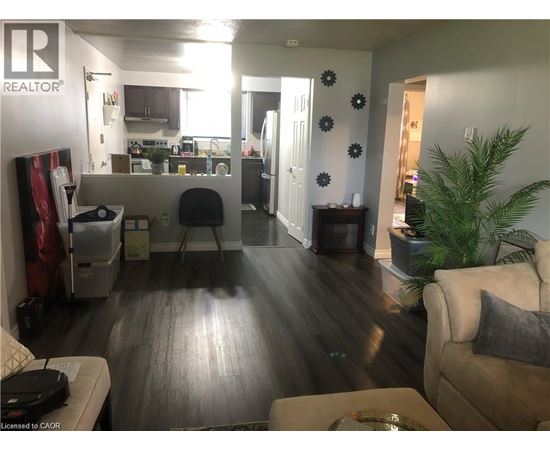 A living room with a couch, a coffee table, and a plant.