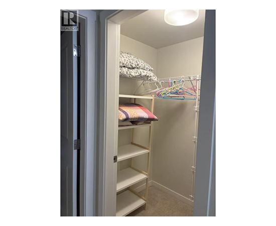 A white closet with a shelf and a pillow on it.