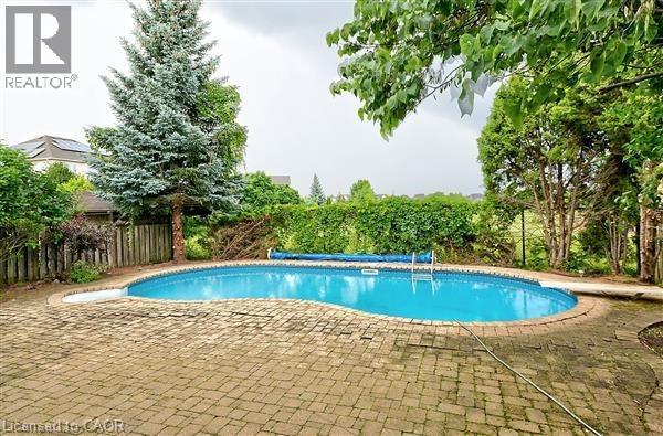 A backyard with a pool and a tree.