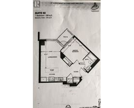 A floor plan for Suite 02, a 1 bedroom, 559 sq.ft. apartment with balcony, is shown.