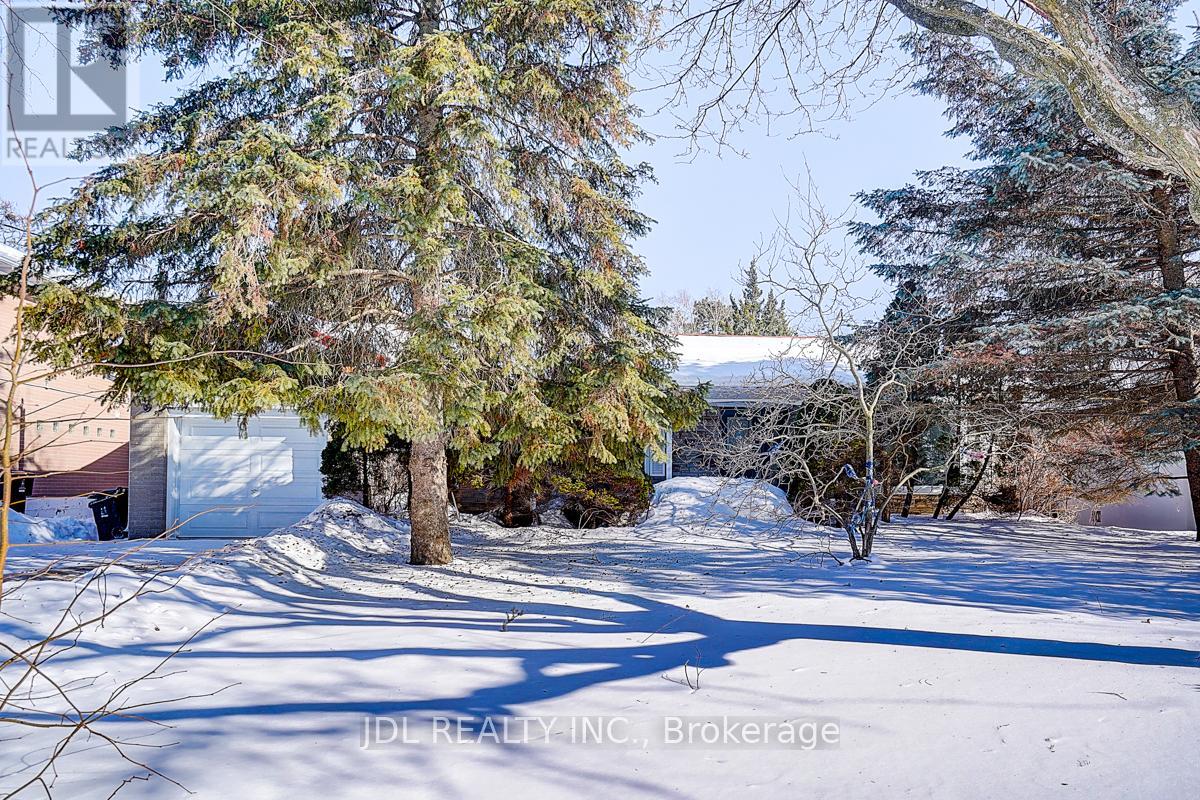 A snowy landscape with trees and a house in the background.