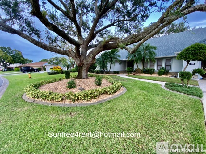 A tree in a landscaped yard with a house in the background.