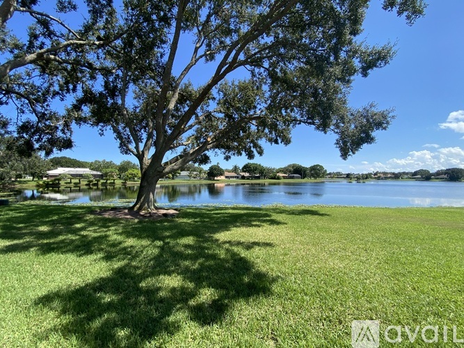 A tree stands in a grassy field with a lake in the background.