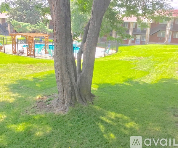A tree in a grassy area with a pool and buildings in the background.
