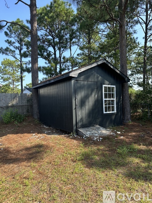 A small black shed with a white window sits in a grassy area.
