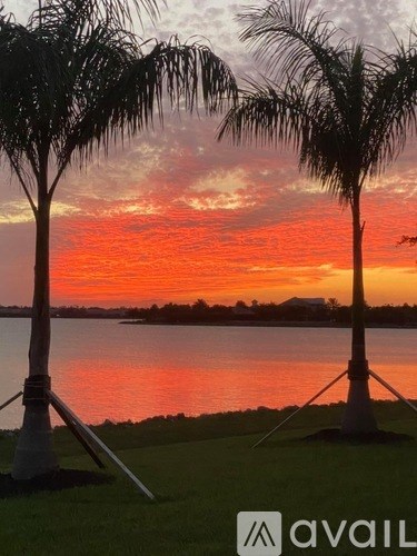 Two palm trees stand in front of a body of water at sunset.