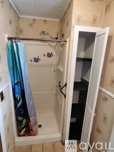 A bathroom with a shower curtain and a white door.