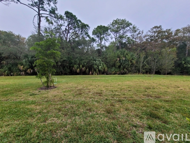A grassy field with a tree in the middle and more trees in the background.