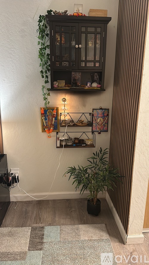 A small potted plant sits on a rug in front of a cabinet with a shelf above it.