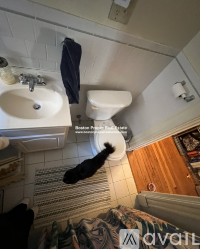 A cat is sitting on a bathroom floor.