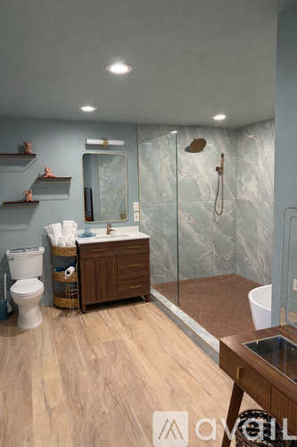 A modern bathroom with a walk-in shower and a toilet.