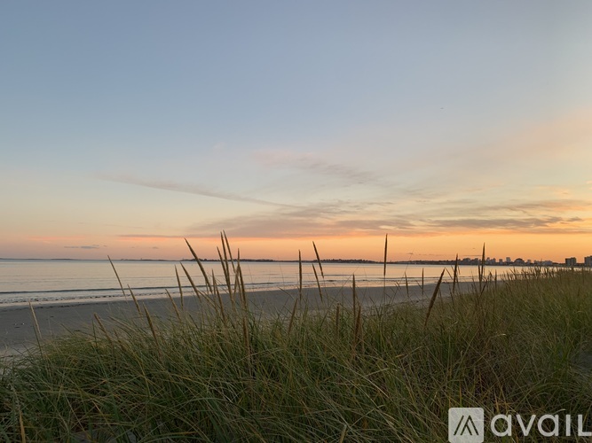 A beach scene with grass in the foreground and a sunset sky.