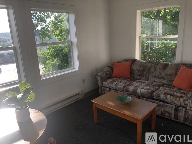 A living room with a couch, a table, and a potted plant.