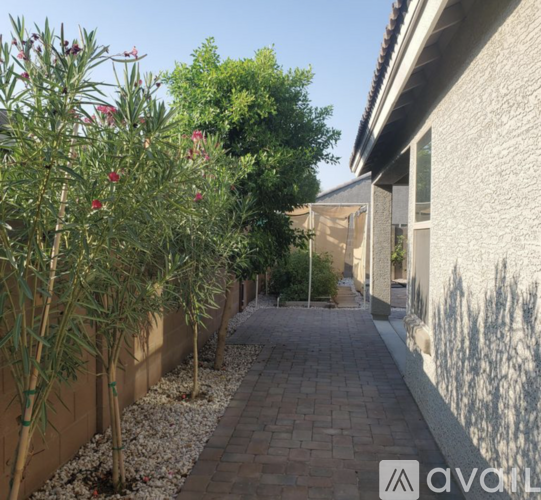 A narrow pathway between two walls with a row of trees on the left.
