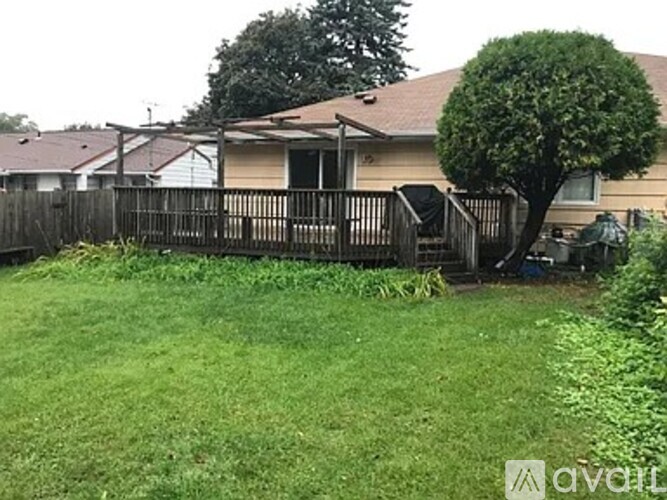A backyard with a fence and a tree.