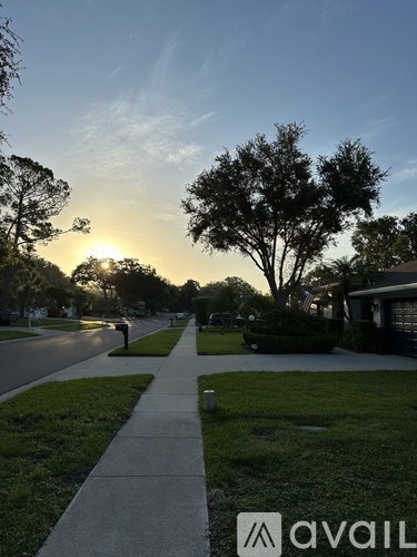A sunset view of a street with houses and trees.