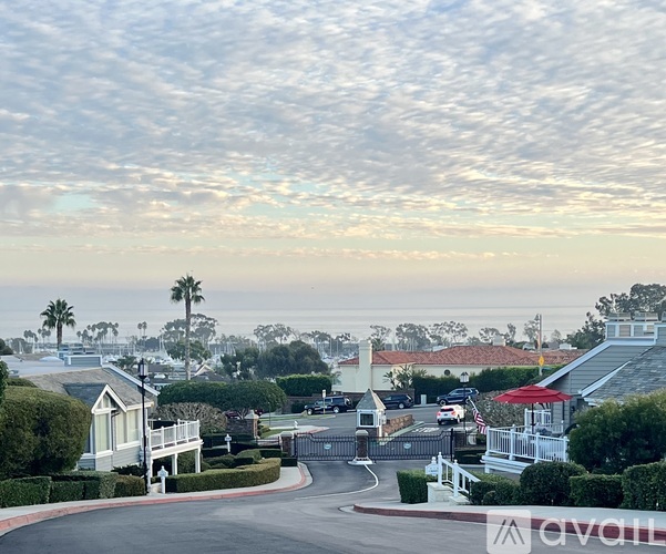 A street view of a residential area with houses and palm trees.