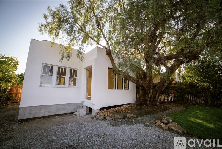 A modern white house with a tree in front of it.