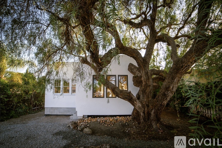 A white house with a large tree in front of it.