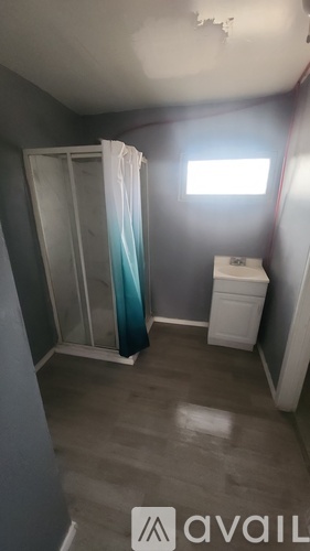 A small room with a shower curtain and a toilet.